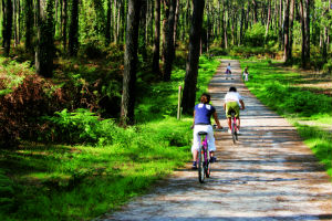 foret